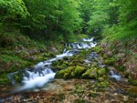 Steinbach - Wilder Bach oberhalb Ortsteil Hammerbach